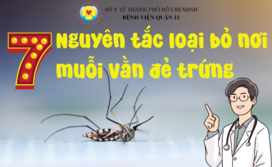 (HCDC) 7 nguyên tắc loại bỏ nơi muỗi vằn đẻ trứng